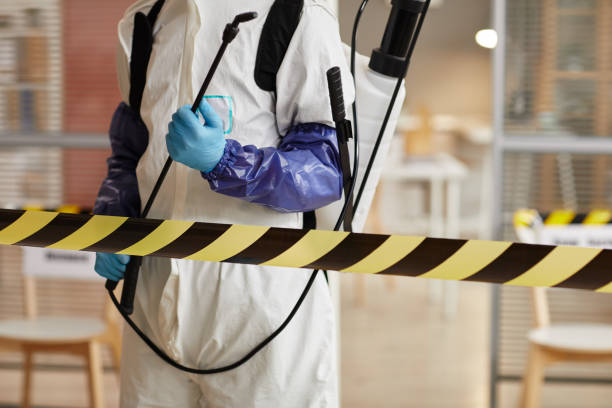 Professional Sewage Cleanup technician working in Plain City, OH